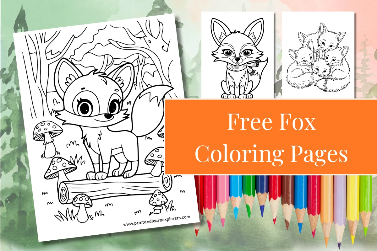 Free Fox Coloring Pages to Print cover