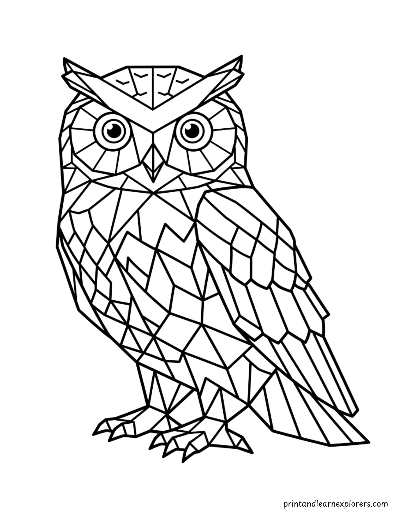 Geometric Winter Owl Coloring Page 11