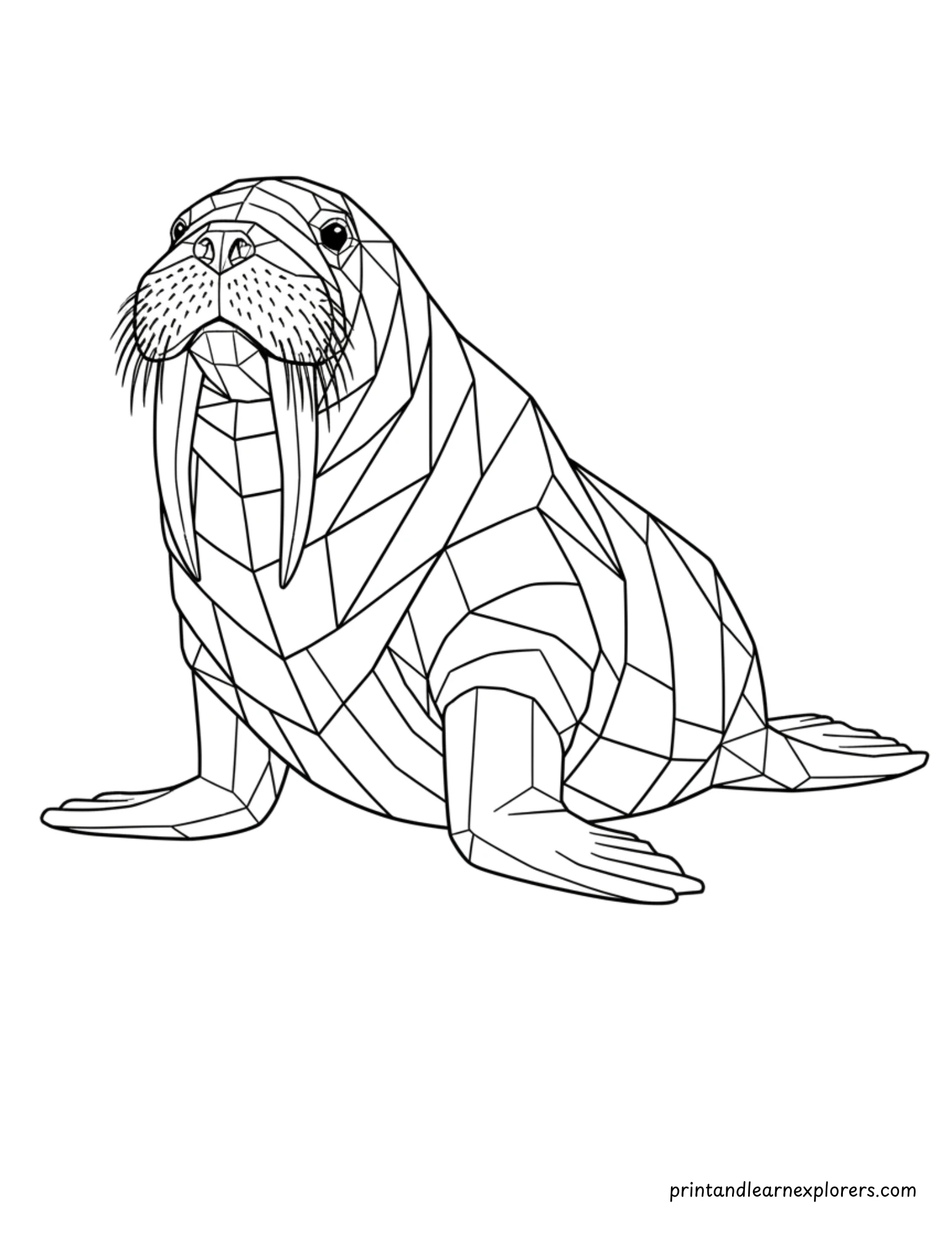 Geometric Winter Walrus Coloring Page 24