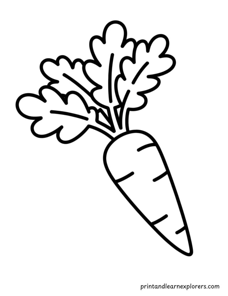 Easy to color winter carrot
