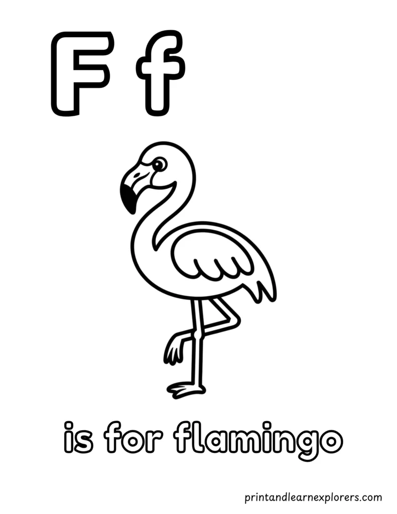 letter f is for flamingo coloring page