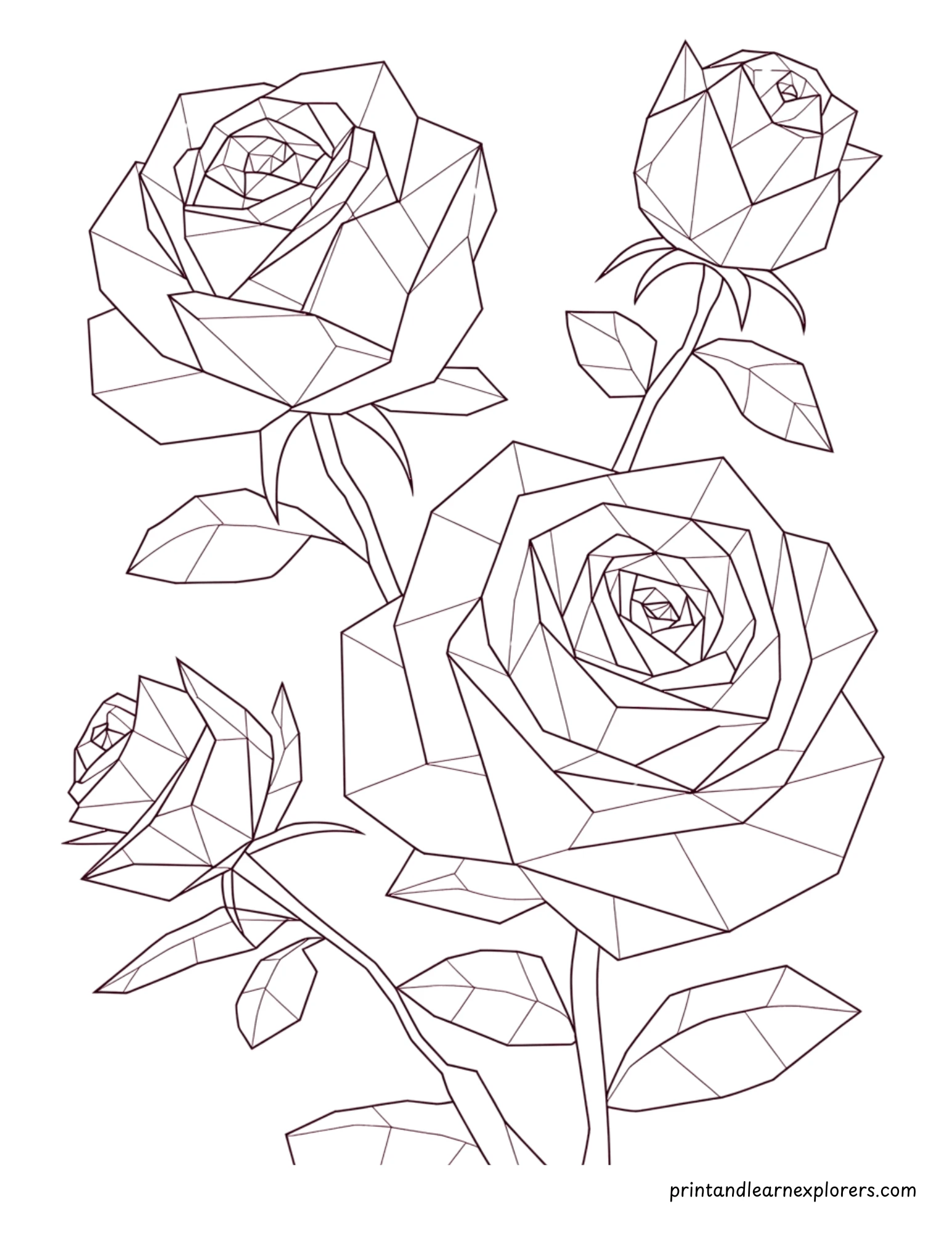 Geometric Valentine Day Coloring Roses