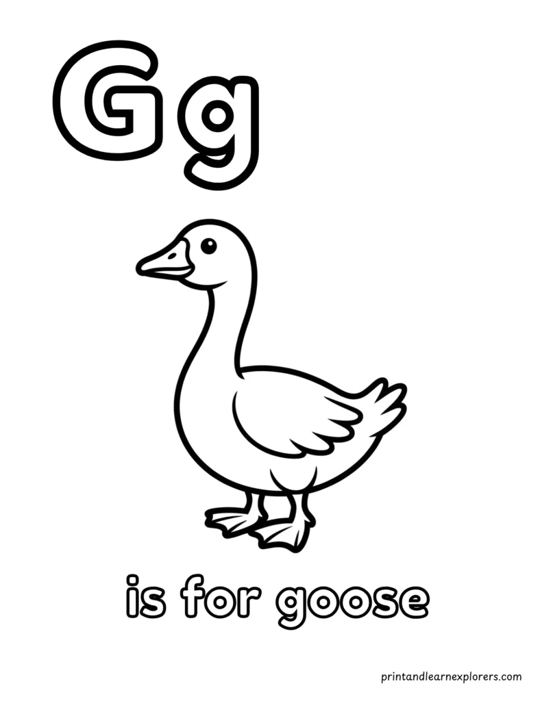 Letter G is for goose coloring page