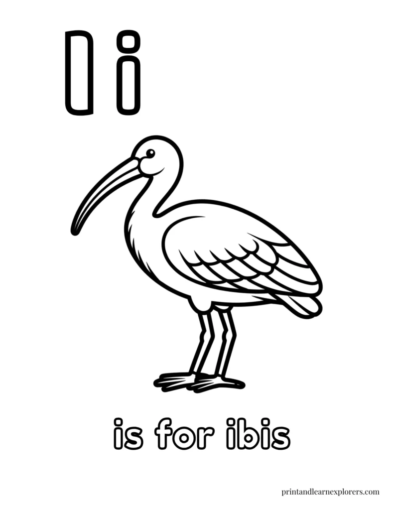 Letter I is for ibis coloring page
