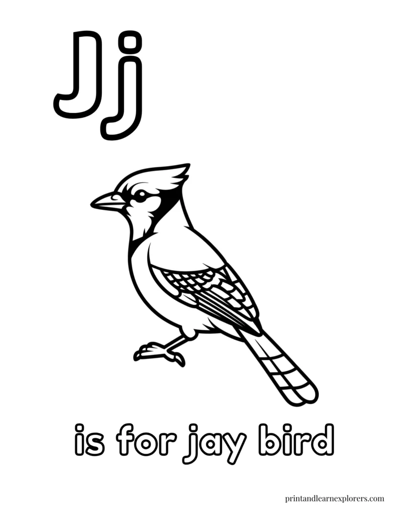 Letter J is for jay bird coloring page