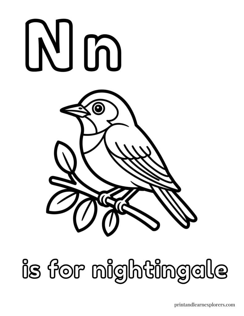 Letter N is for nightingale coloring page