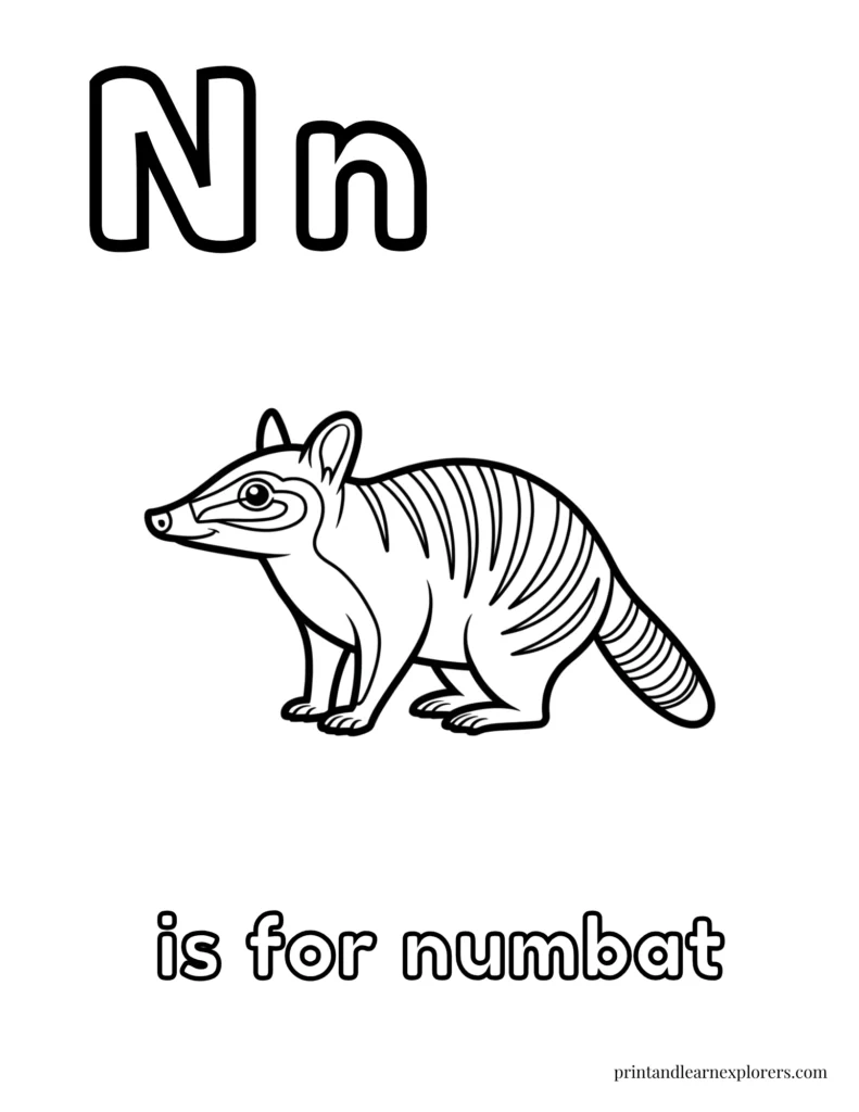 Letter N is for numbat coloring page