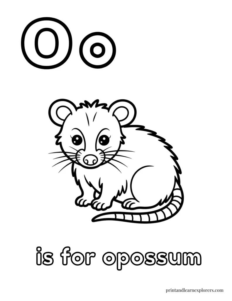 Letter O is for opossum coloring page