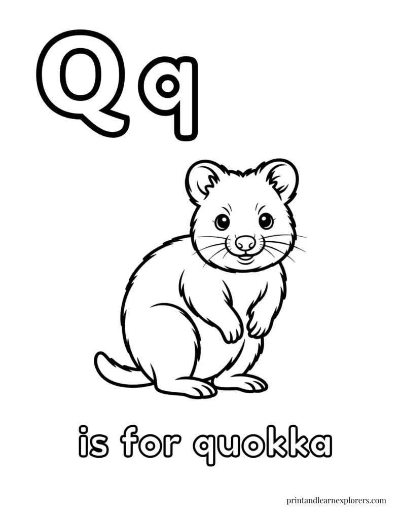 Letter Q is for quokka coloring page