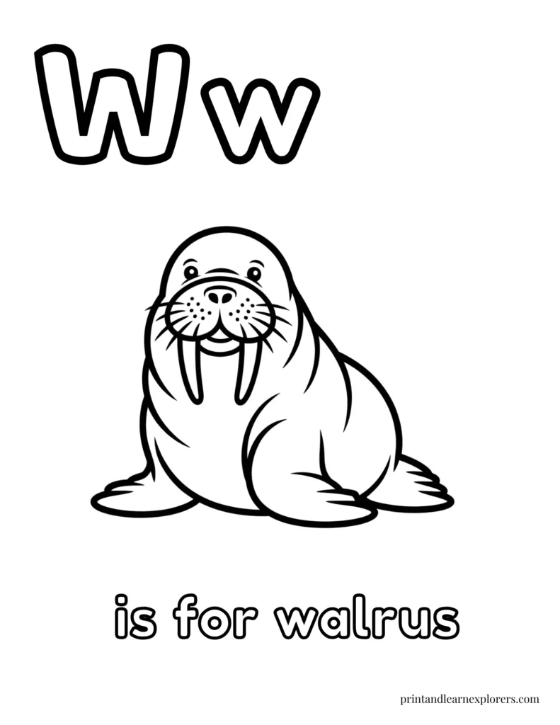Letter W is for walrus coloring page