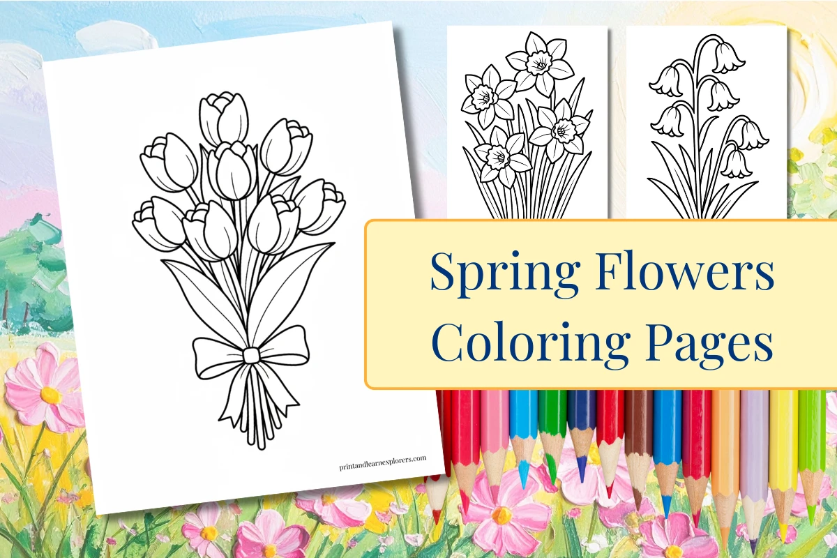 Spring Flowers Coloring Pages feature