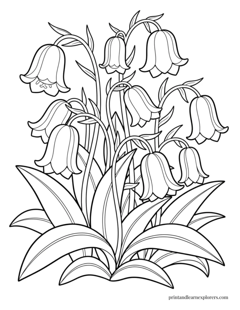 Spring flowers coloring pages bluebells detailed
