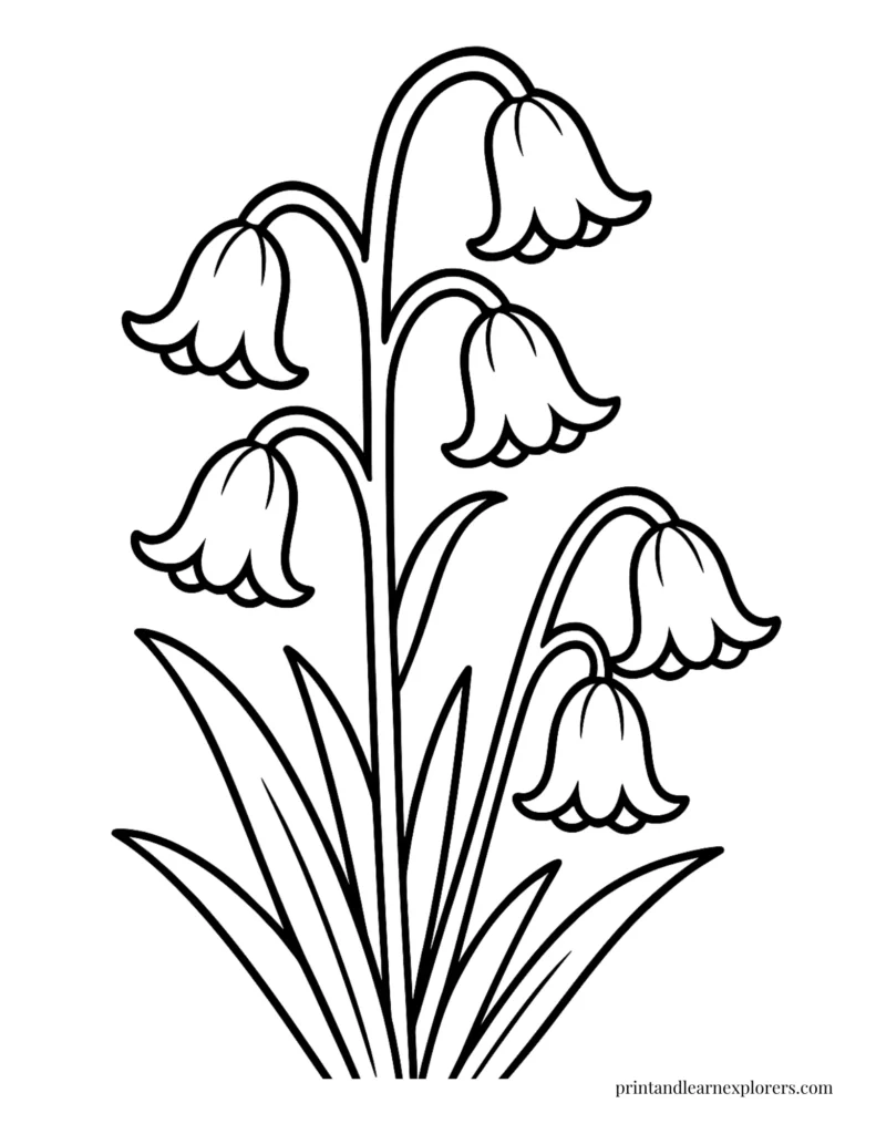 Spring flowers coloring pages bluebells easy