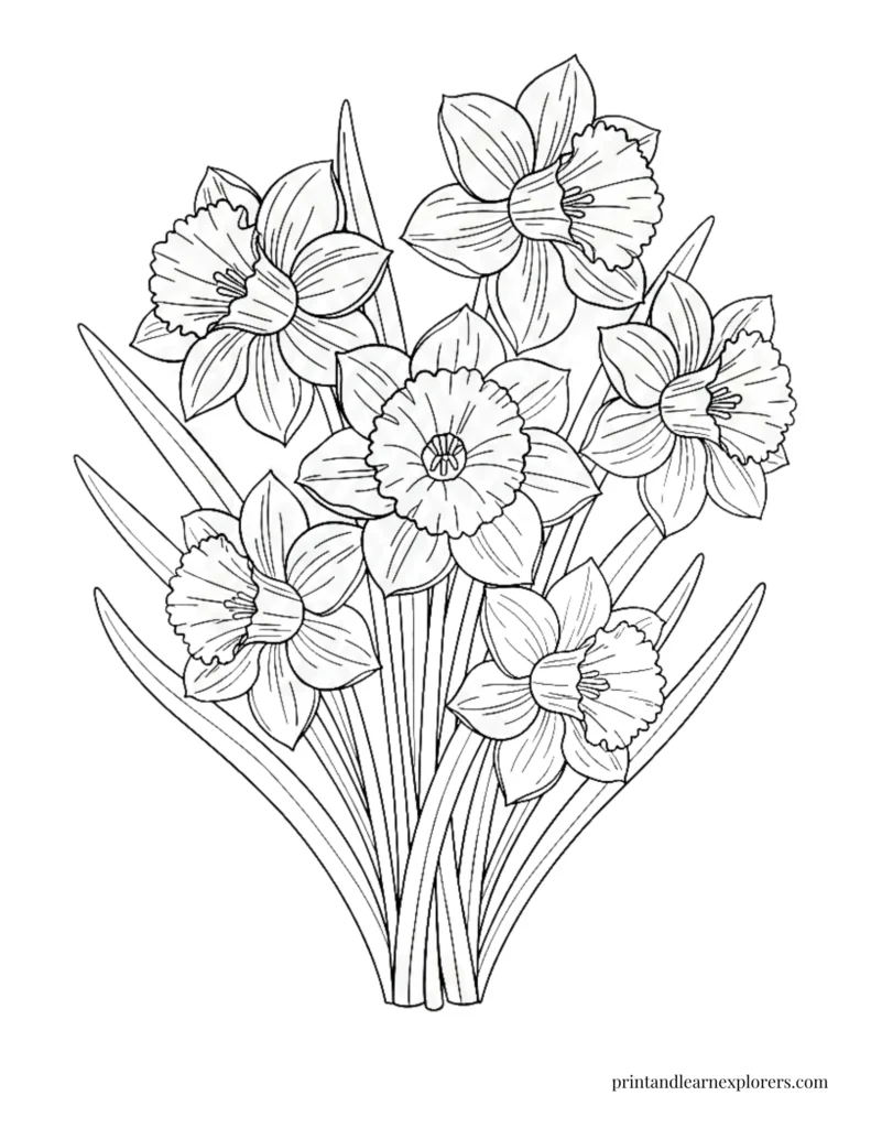 Spring flowers coloring pages daffodils detailed