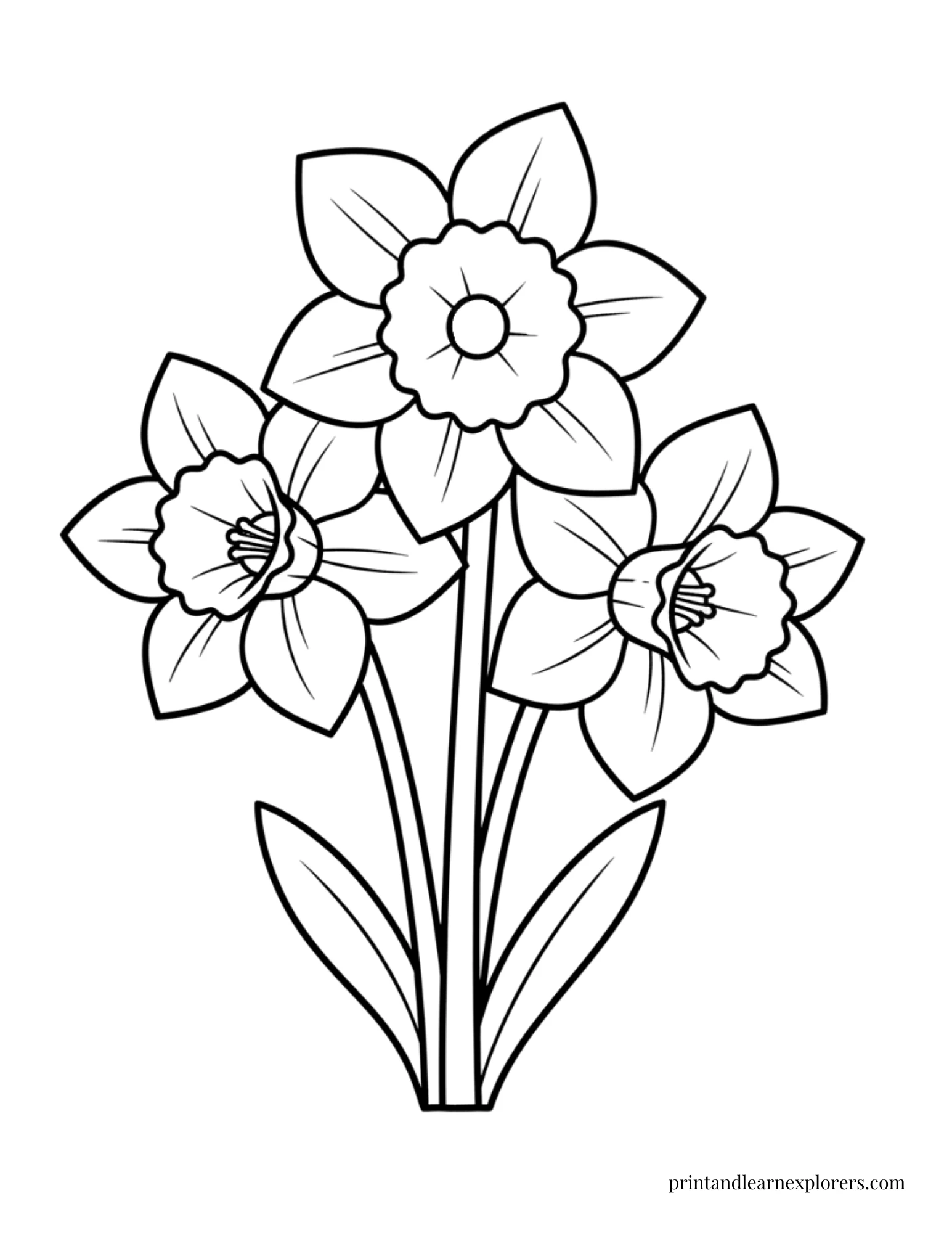 Spring Flowers Coloring Pages Daffodils Easy
