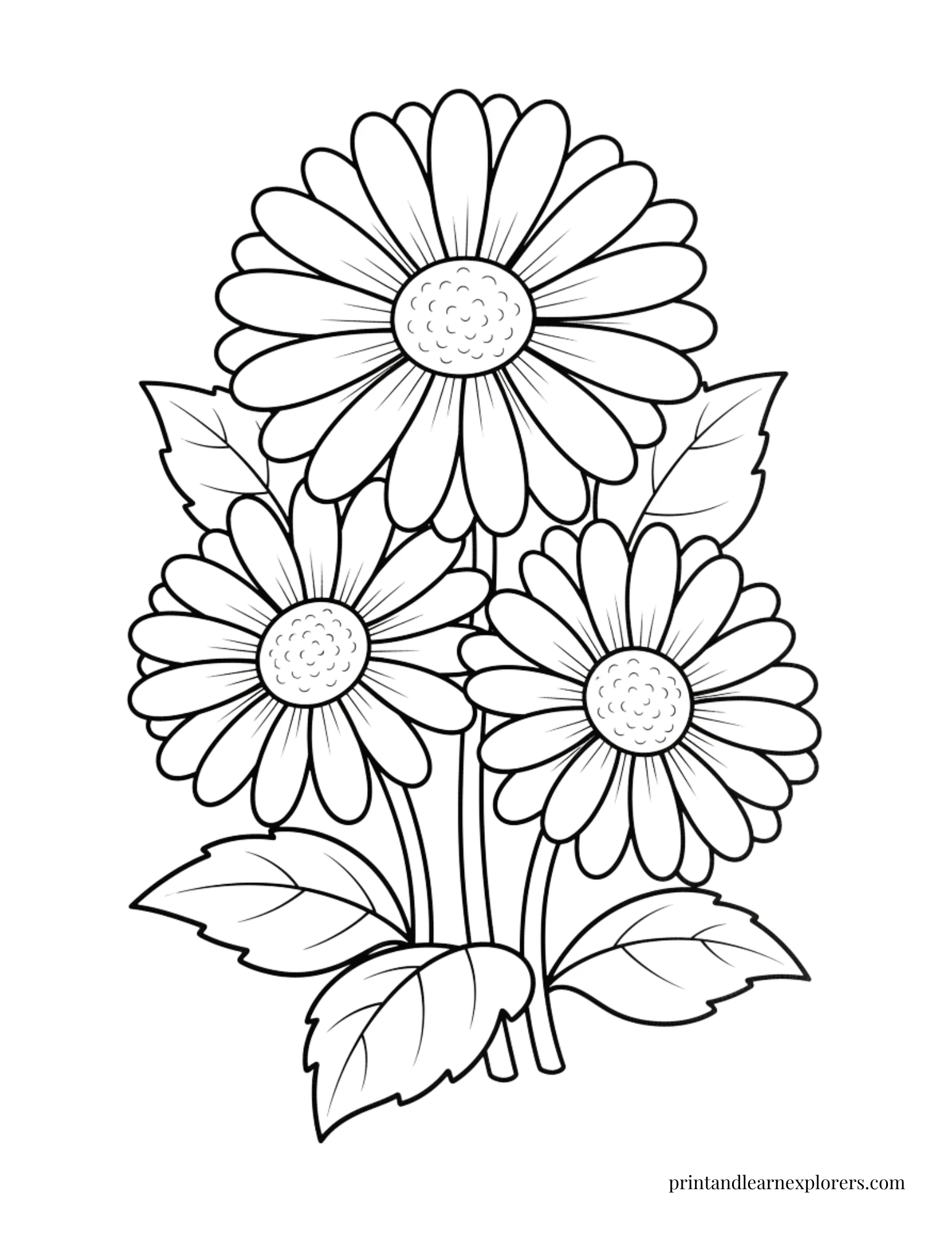 Spring Flowers Coloring Pages Daises Easy