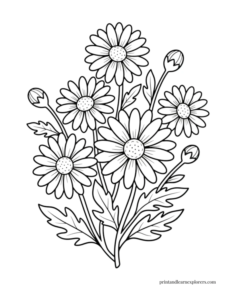 Spring flowers coloring pages daises wild