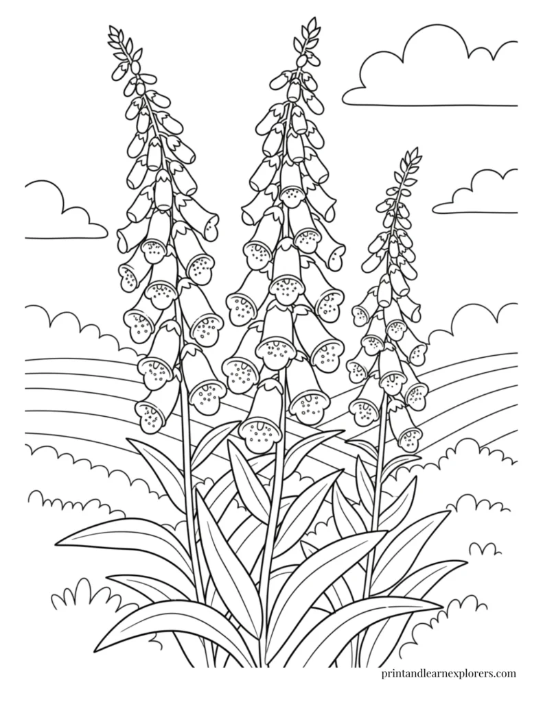 Spring flowers coloring pages foxgloves field