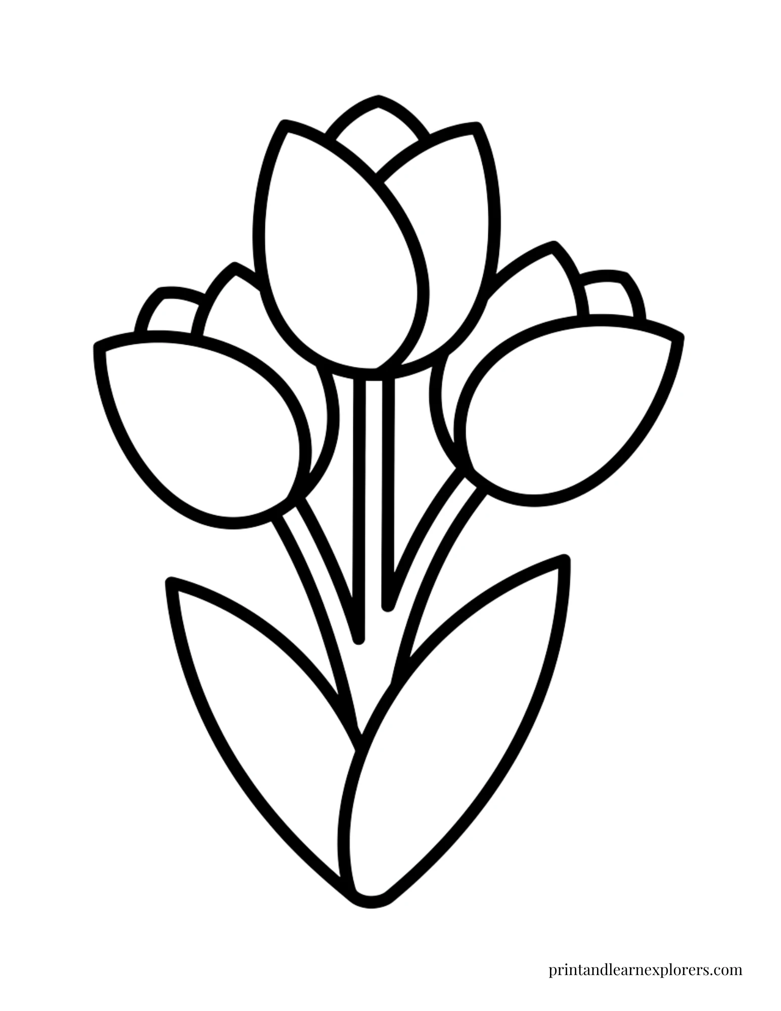 Spring Flowers Coloring Pages Tulips Preschool