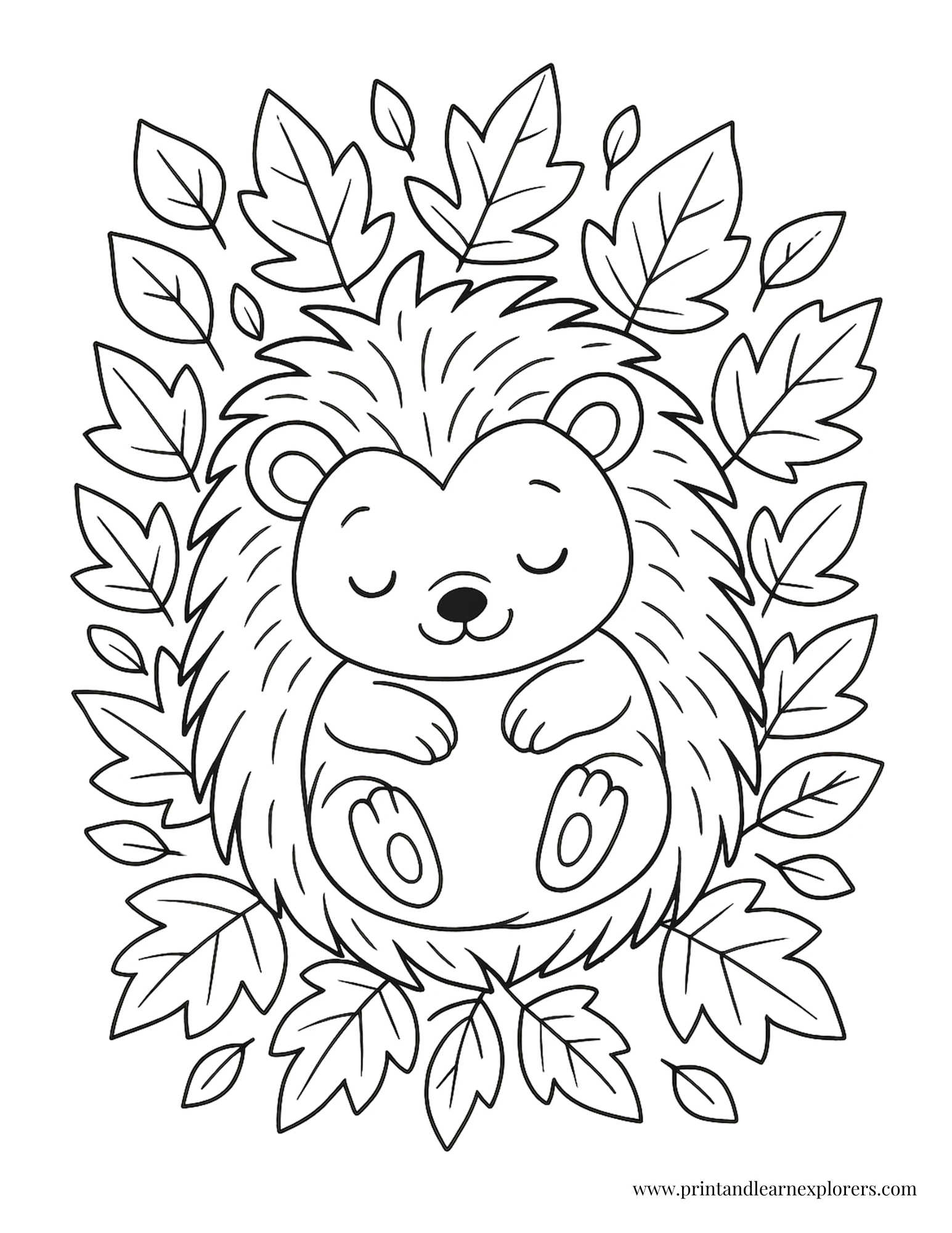 Baby hedgehog sleeping in leaves coloring page