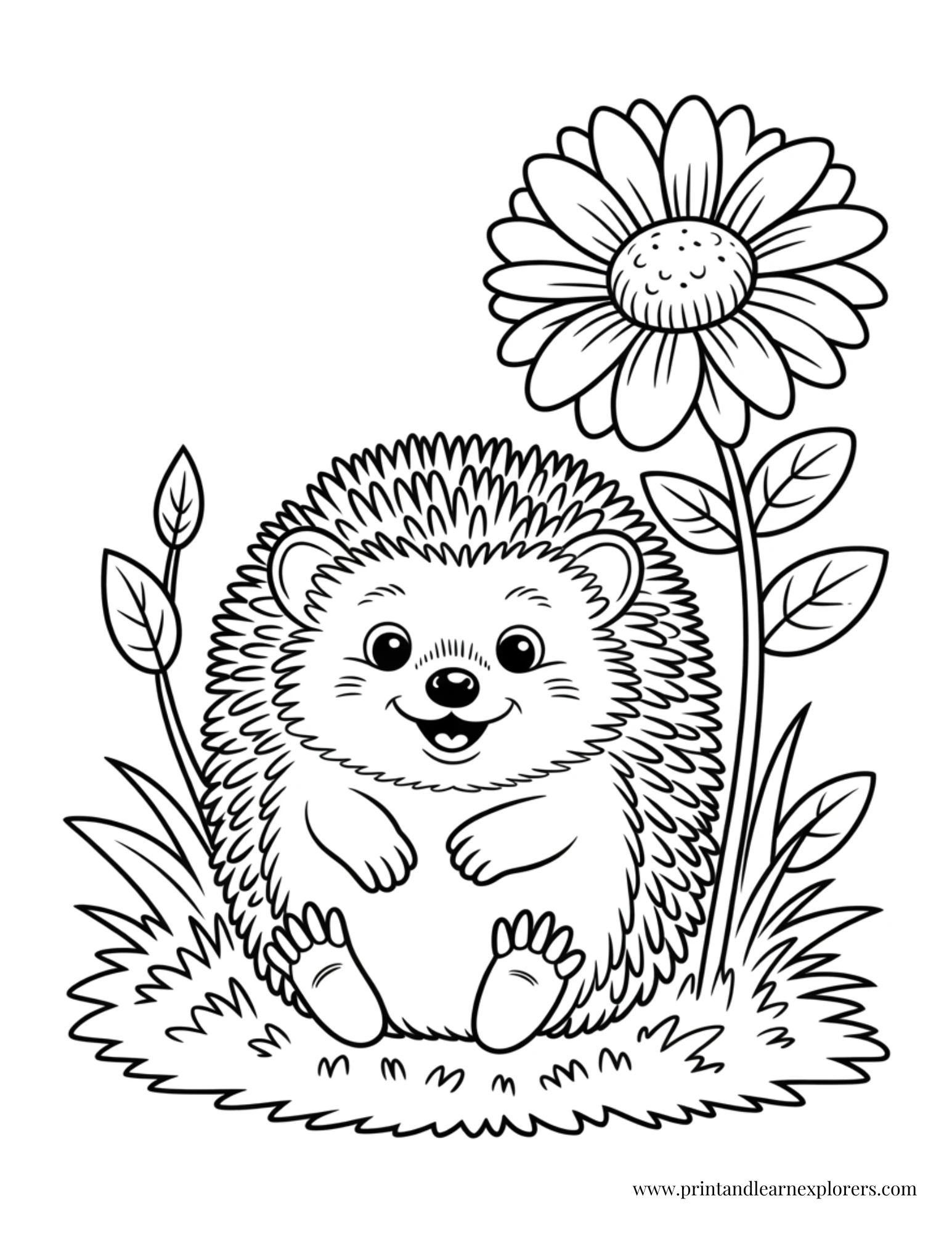 Baby hedgehog sunflower coloring page