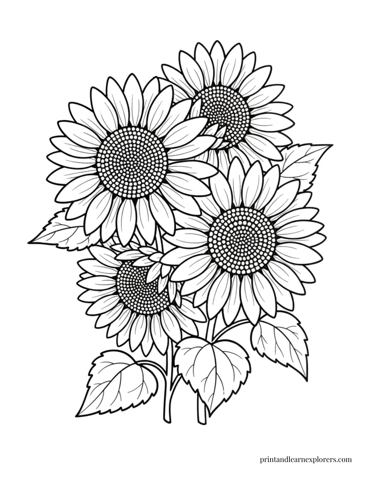 Bunch of sunflowers coloring page