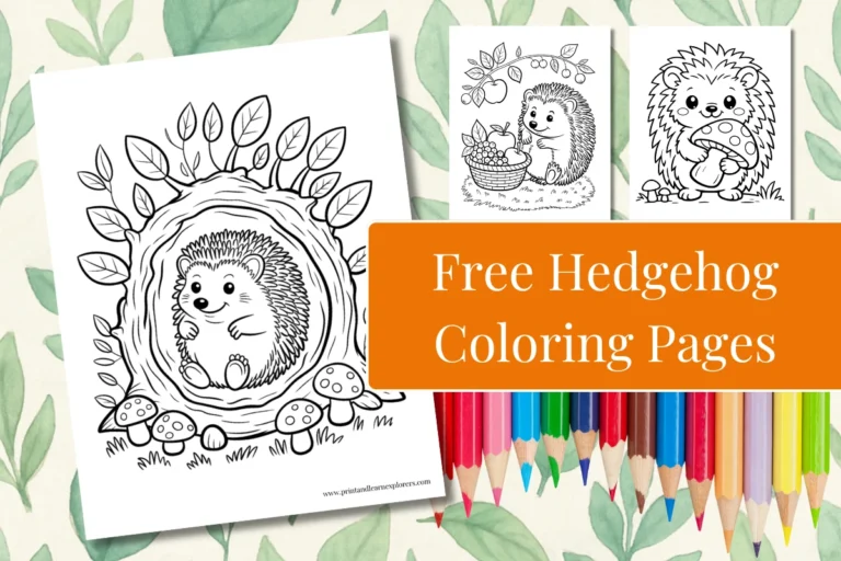 Free Hedgehog Coloring Pages