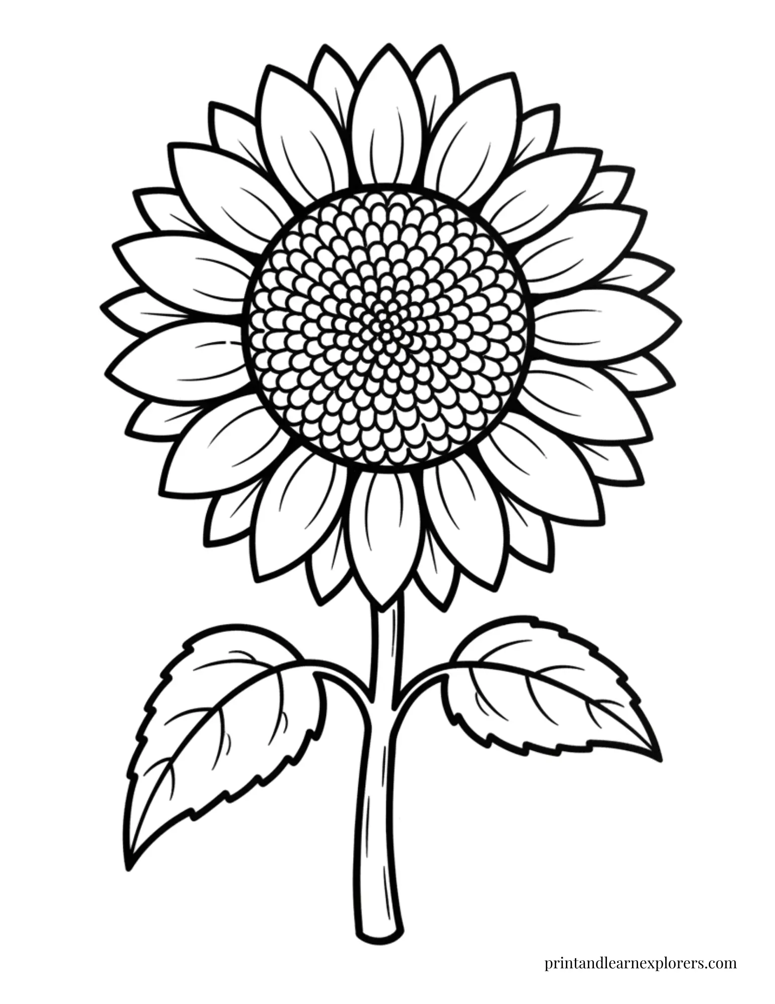 Large sunflower coloring page