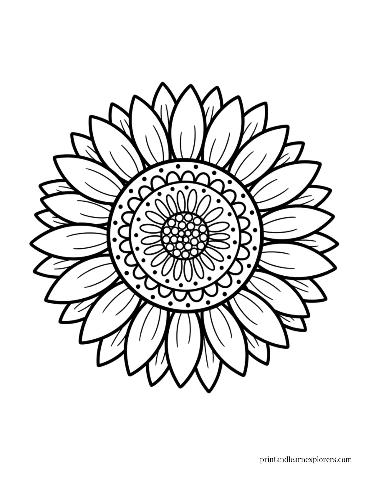 Large sunflower head coloring page