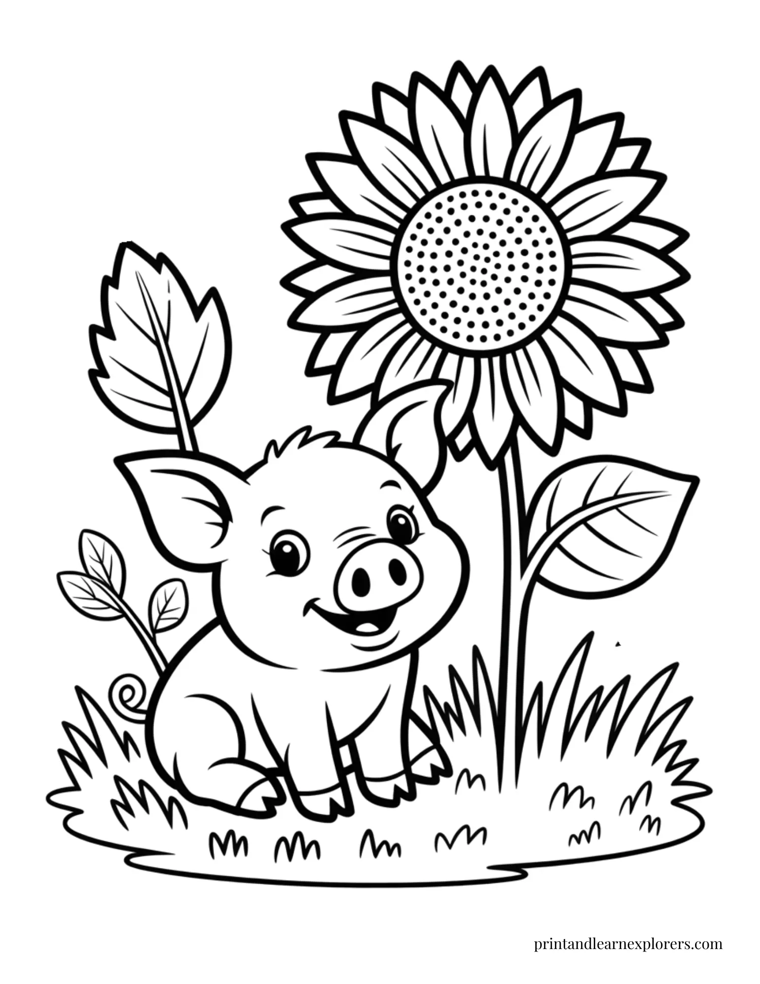 Pig and a sunflower coloring page