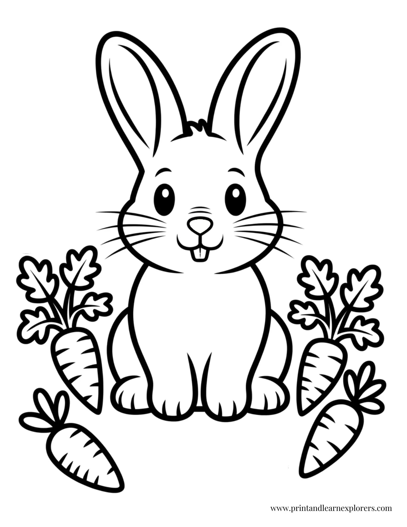 Rabbit With Carrots Simple Bold Coloring Page