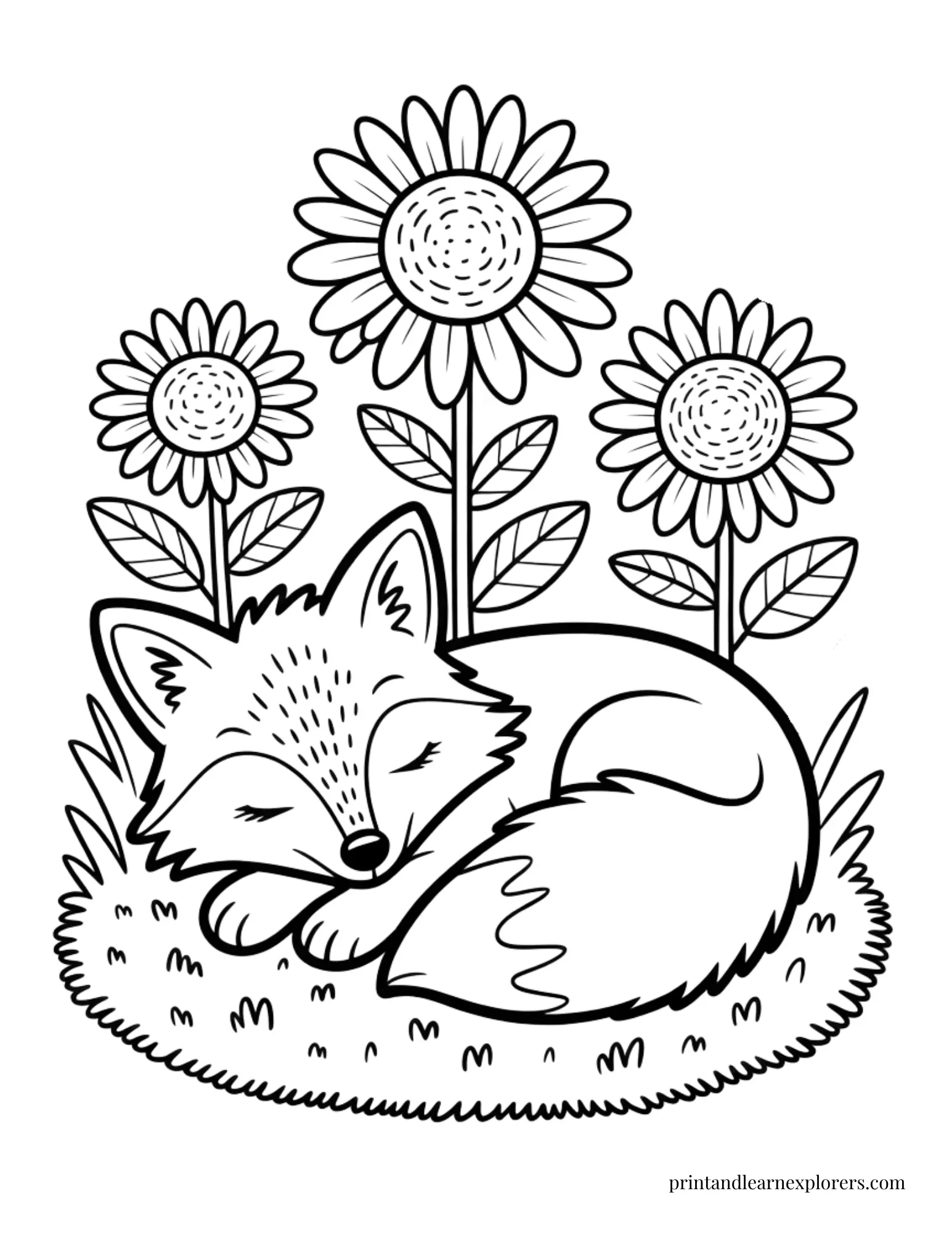 Sleeping fox by the sunflowers coloring page