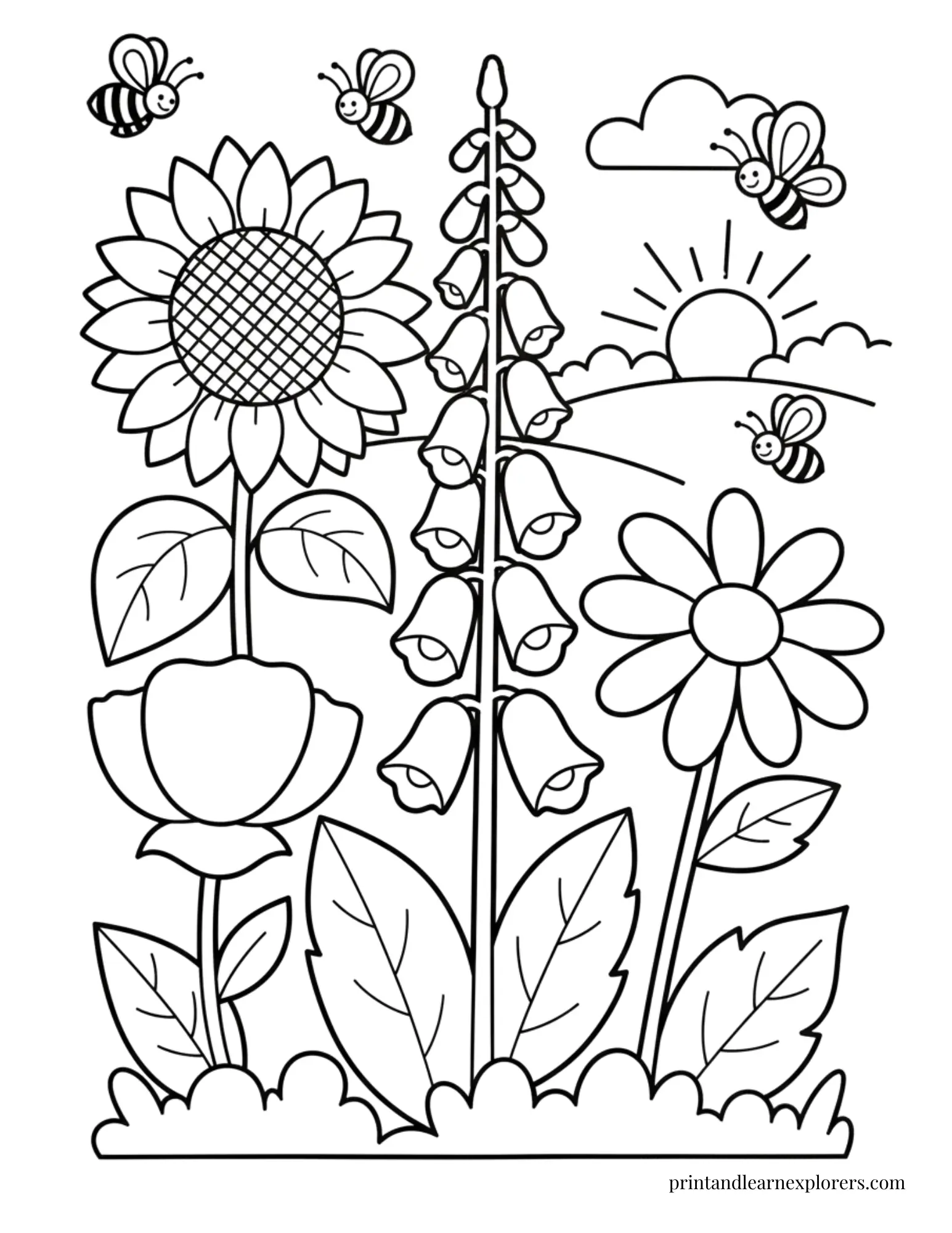 Sunflower and wild flowers coloring page