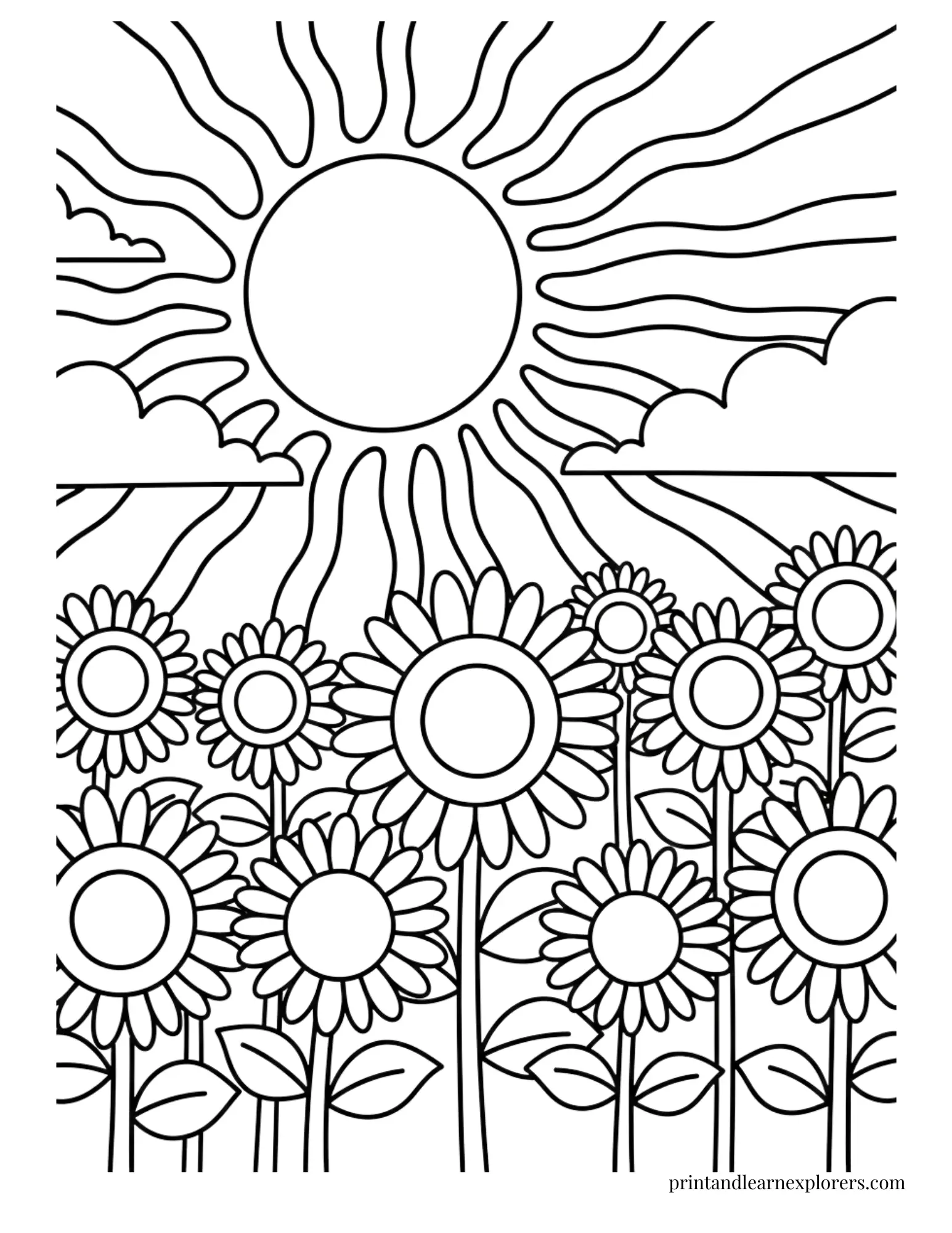Sunflower field in the sun coloring page