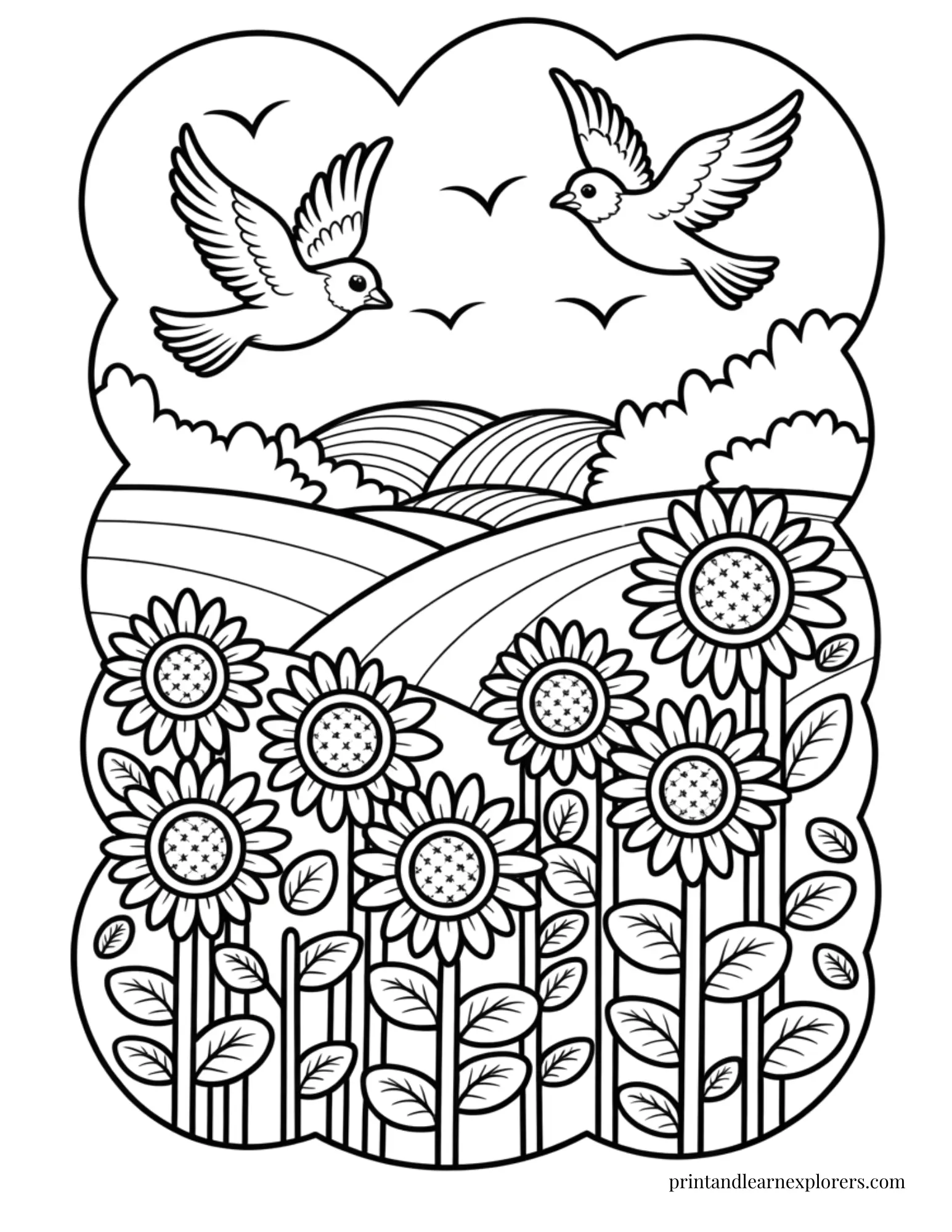 Sunflower field with birds coloring page