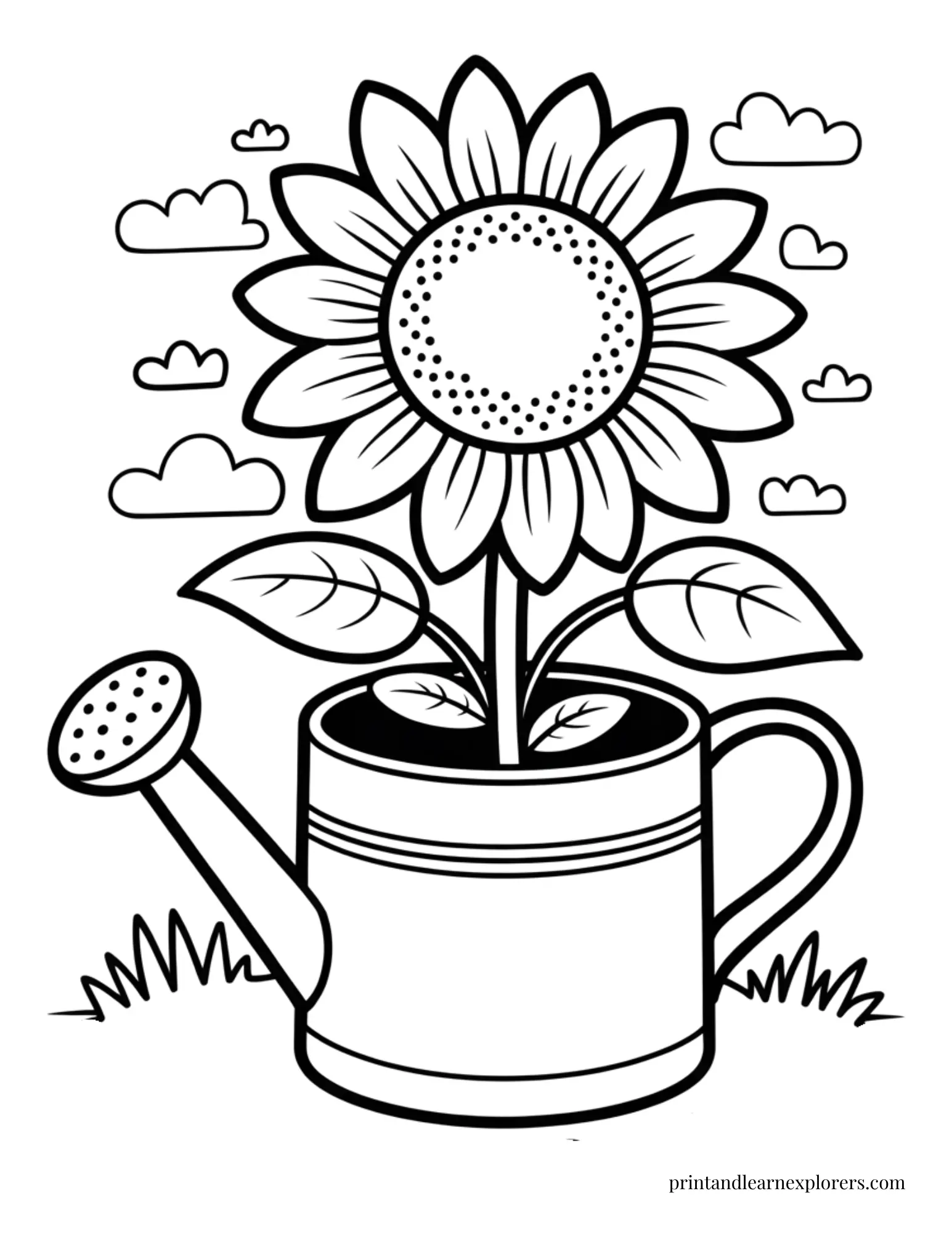 Sunflower growing in a watering can coloring page