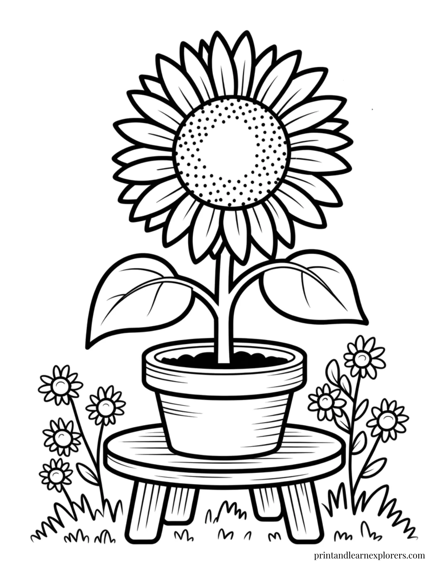 Sunflower in a garden pot coloring page
