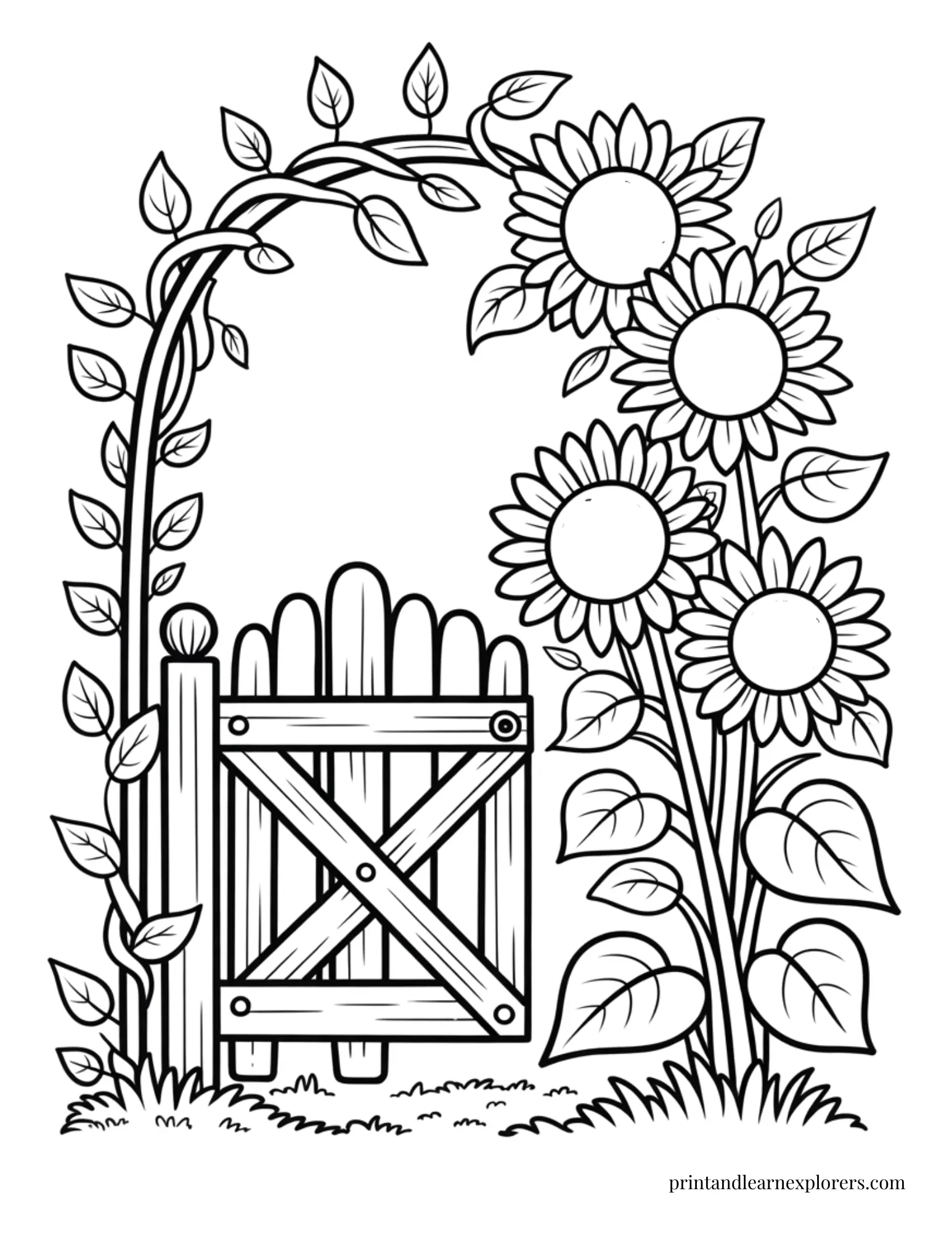 Sunflowers at the garden gate coloring page