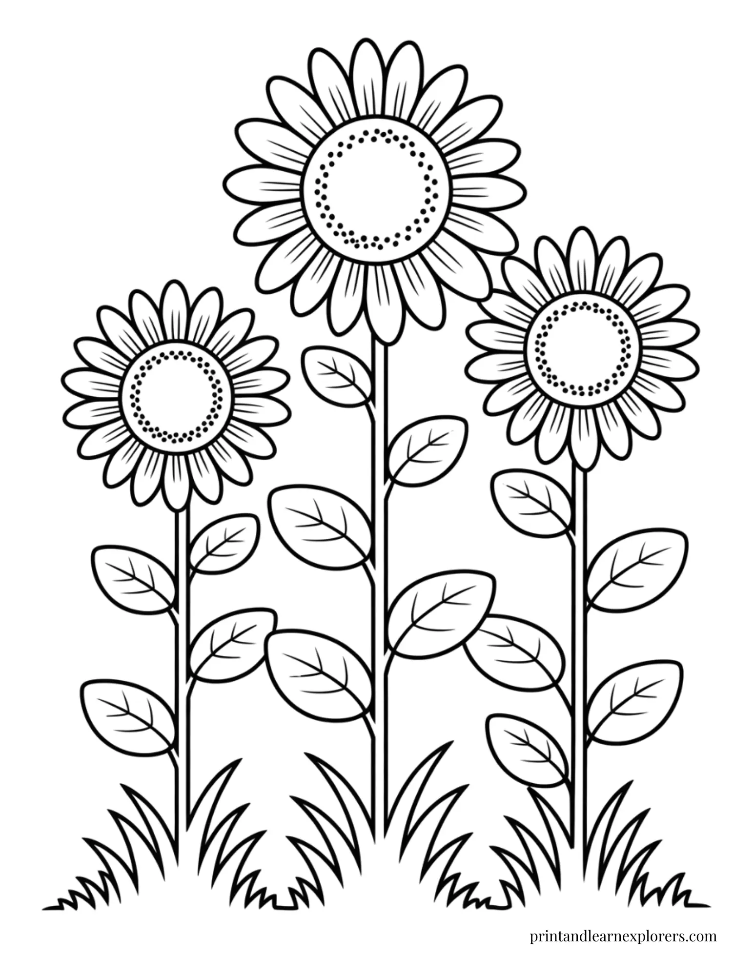 Tall sunflowers free coloring sheet