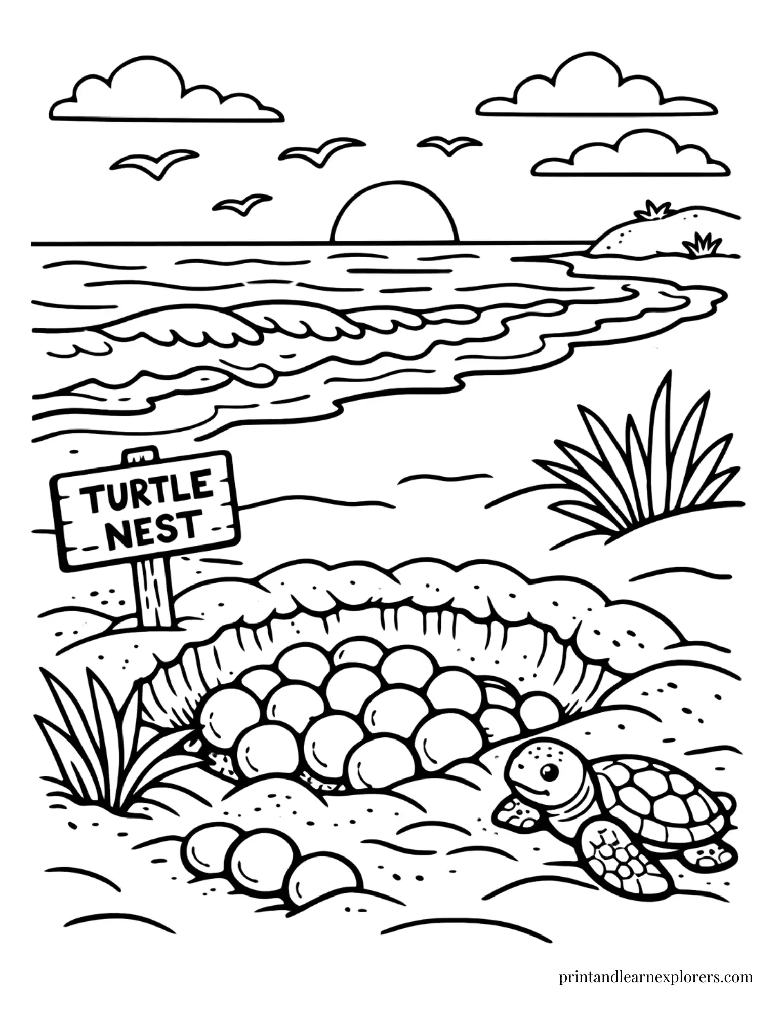 Baby Sea Turtle Nest with Sign Coloring Page
