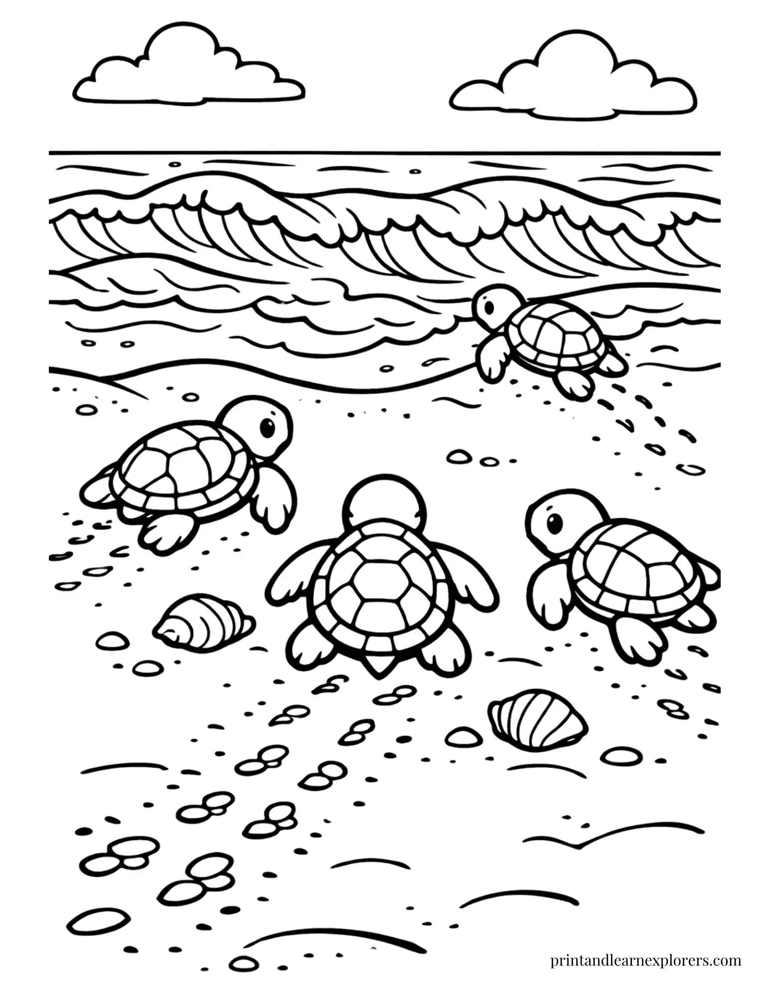 Baby Sea Turtles Going to Sea Coloring Page