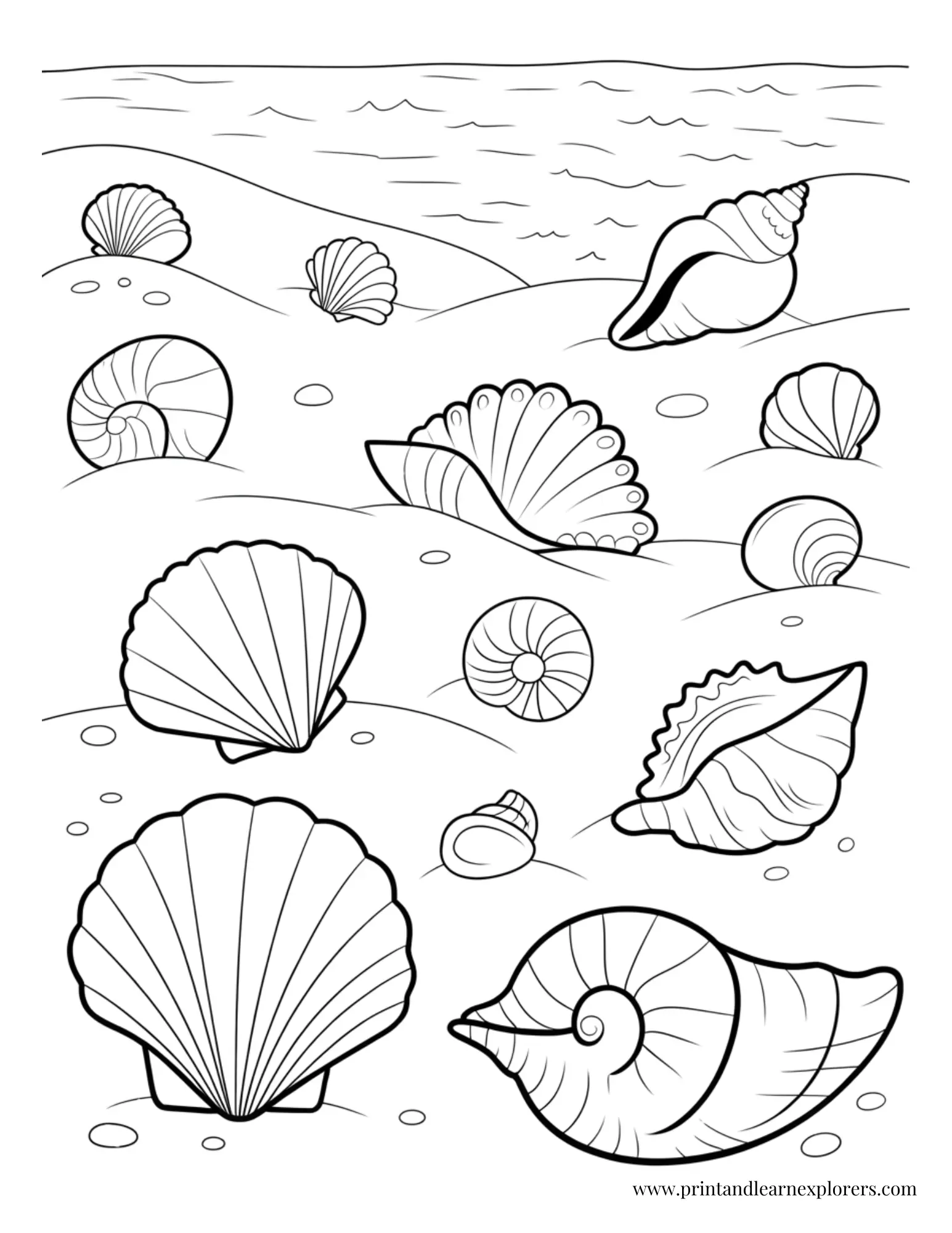 Beautiful shells on beach coloring page