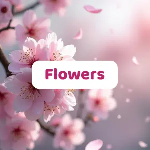 Flowers hub menu