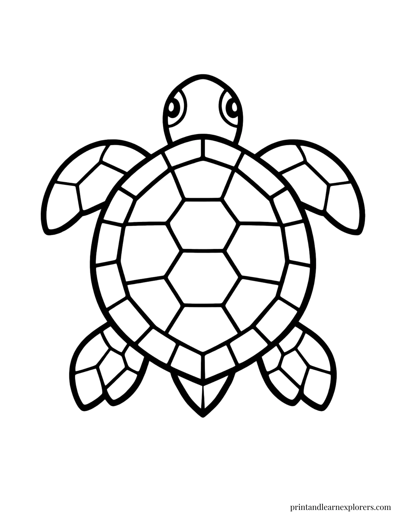 Sea Turtle Geometric Pattern Coloring Page