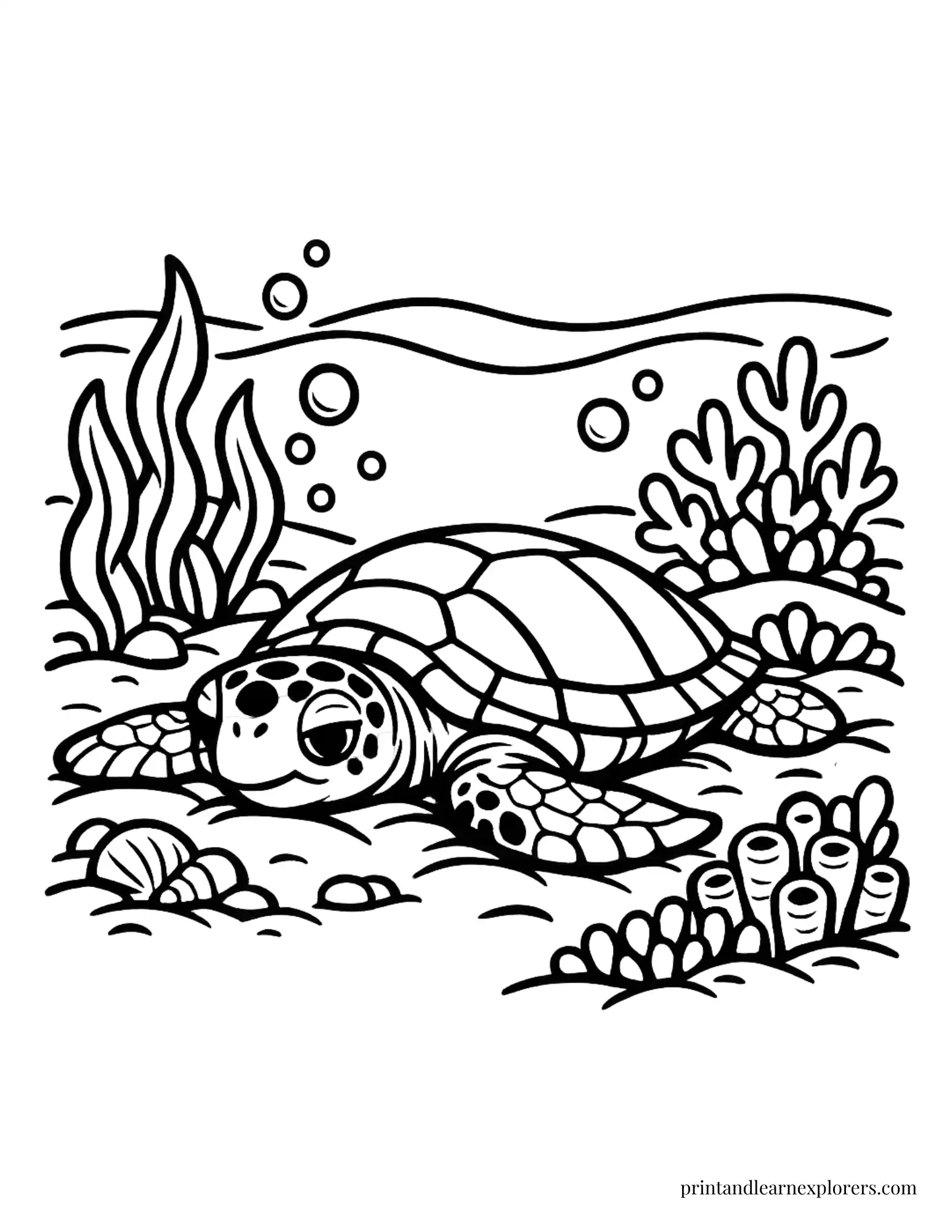 Sea Turtle Resting on Sea Bed Coloring Page