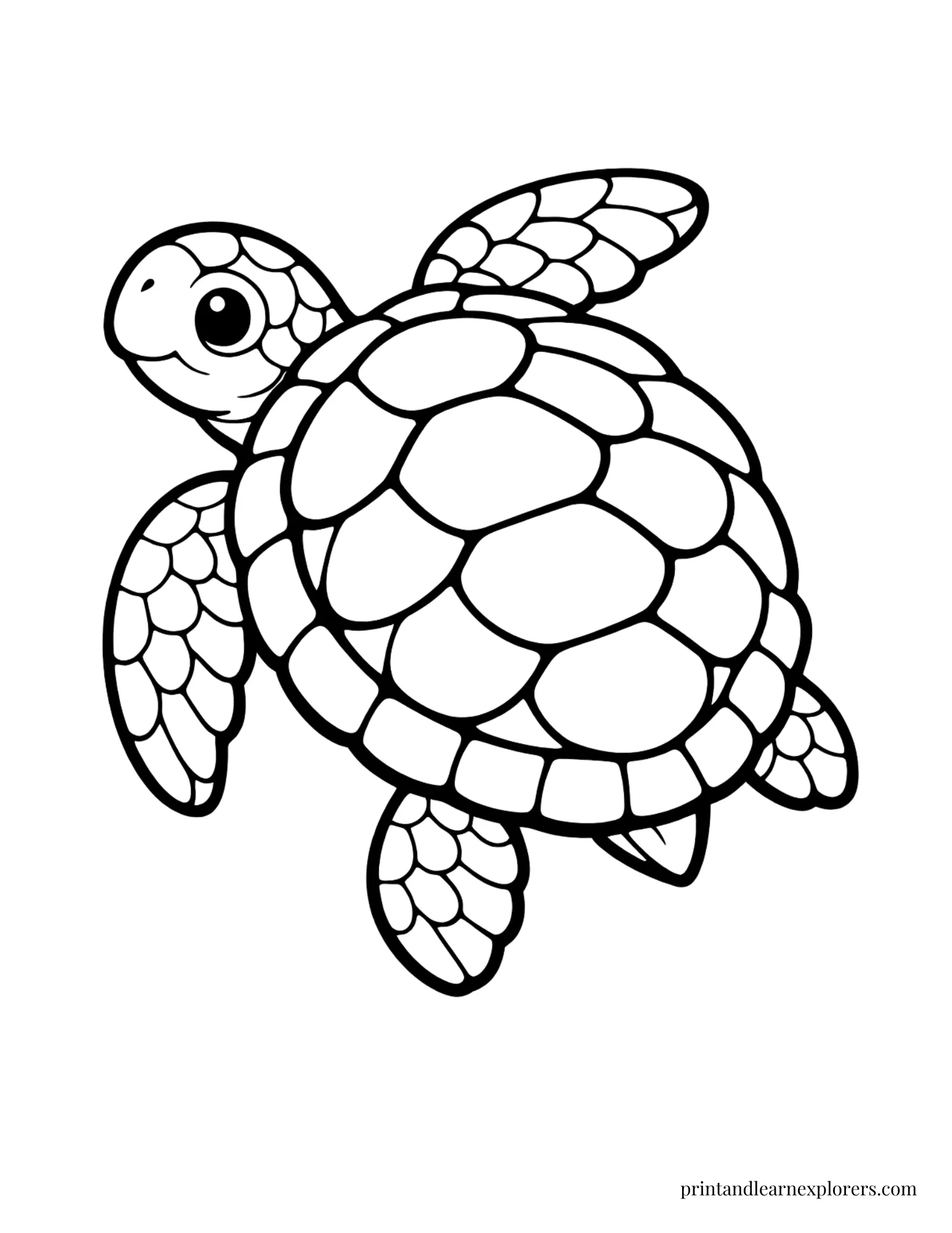 Sea Turtle Scale Pattern Coloring Page