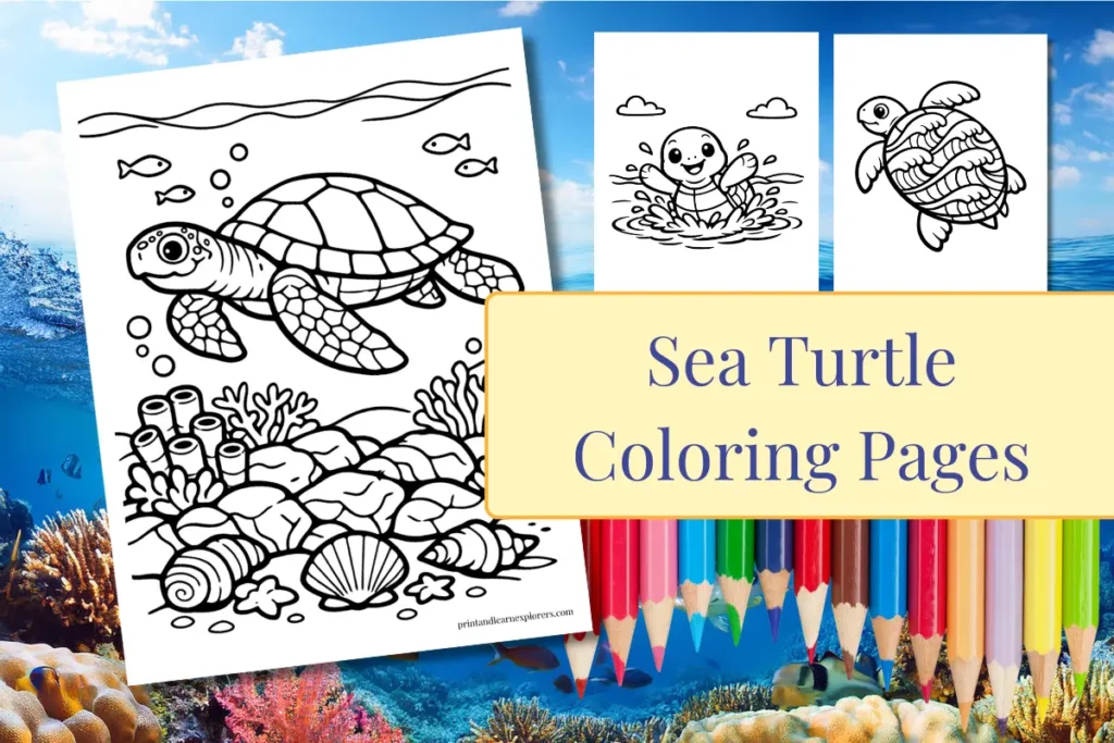 Sea Turtles Coloring Pages feature