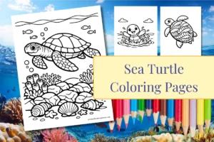 Sea Turtles Coloring Pages feature