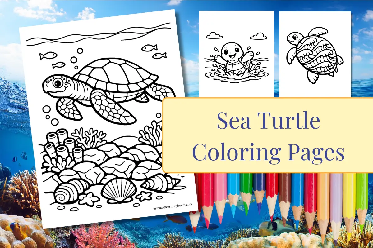 Sea Turtles Coloring Pages feature