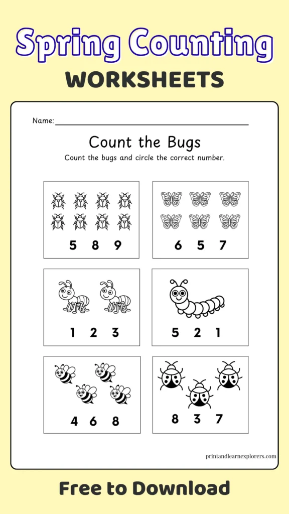 Spring counting worksheets bugs pin